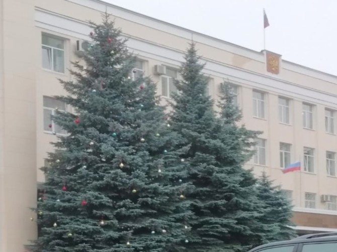 В Брянске нарядили елку возле областного правительства