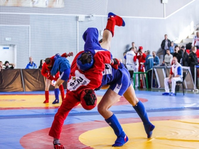 Брянские самбисты завоевали пять медалей первенства ЦФО