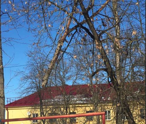 В Брянске над жителями дома на проспекте Московском нависла опасность