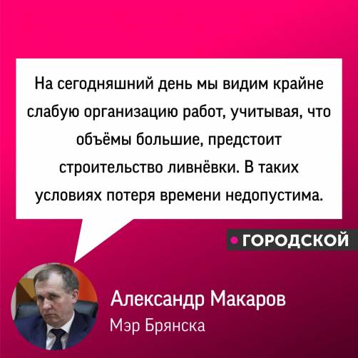 Мэр Брянска пришёл в ярость из-за ремонта улиц Пушкина и Димитрова