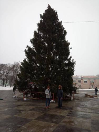 На центральной площади Стародуба установили новогоднюю ель