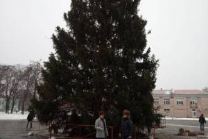 На центральной площади Стародуба установили новогоднюю ель