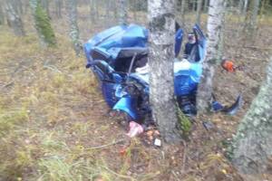 В Климовском районе водителя легковушки убило упавшее дерево