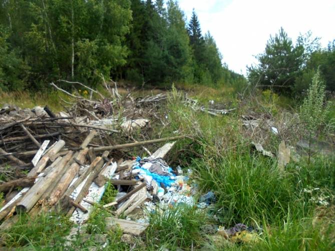 В Брасовском районе ущерб от свалки на сельхозземлях составил 1,8 млн рублей