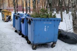 Брянцы забили мусорные контейнеры новогодними ёлками