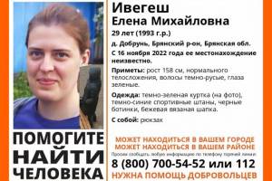 Пропавшую в Брянской области 29-летнюю Елену Ивегеш нашли живой