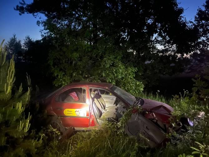 На брянской трассе 37-летний водитель Ford вылетел в кювет и погиб