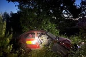 На брянской трассе 37-летний водитель Ford вылетел в кювет и погиб