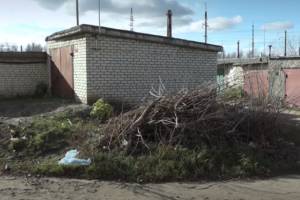 В Брянске на Ново-Советской за 10 месяцев нашли 3 растерзанных тела