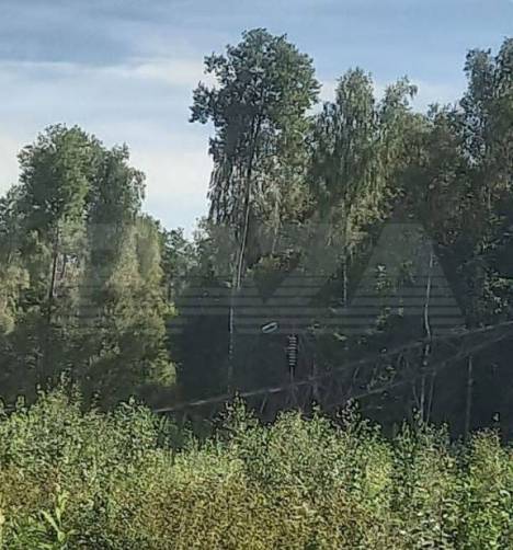 В Брянской области подорвали две опоры ЛЭП у железной дороги