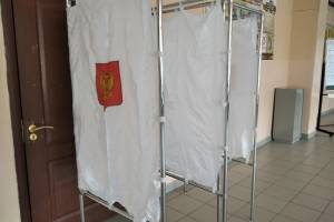 Явка на выборах губернатора Брянщины превысила 47%
