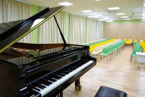 В Брянской области до 2025 года отремонтируют 24 детских школы искусств