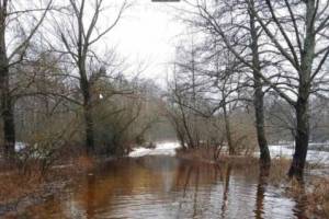 В Брянской области затопило 24 приусадебных участка