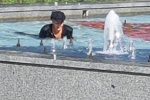 В Брянске женщина устроила купания в фонтане Пролетарского сквера