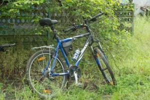 В Трубчевске полиция разыскала украденный у женщины велосипед