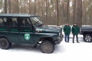Перед Новым годом на Брянщине усилено патрулирование лесов