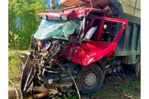 Под Суражом 27-летний водитель самосвала получил тяжелые травмы после наезда на дерево