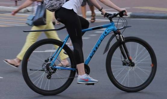 В Брянске предложили обустроить 208 километров велосипедных маршрутов