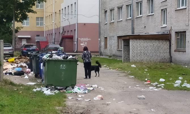 В Брянске начали ежедневно вывозить мусор возле БГТУ