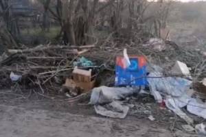 В брянском поселке Глинищево назревает мусорный апокалипсис