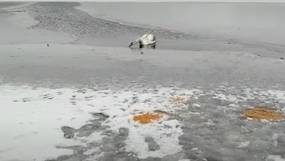 Под Стародубом на замерзшем водоеме погибает лебедь