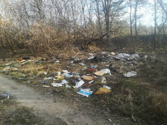 В Новозыбкове снова загадили лесополосу возле маслозавода