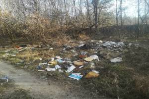 В Новозыбкове снова загадили лесополосу возле маслозавода