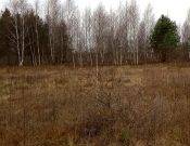 У жительницы Клинцов изъяли четыре гектара заросшей бурьяном земли
