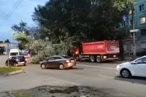 В Брянске на «Северной» самосвал завалил дерево
