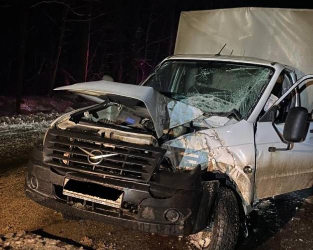 Под Почепом водитель «УАЗ» врезался в дерево и сломал ключицу 15-летнему пассажиру