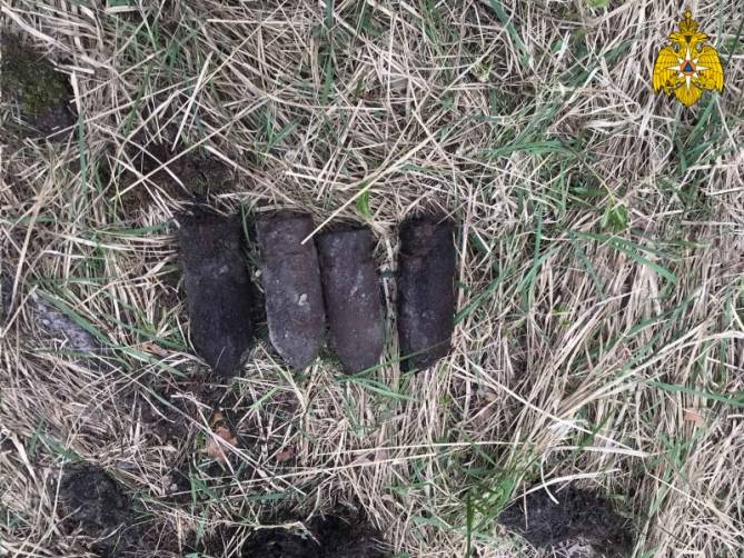 В лесу возле брянского поселка Нетьинка нашли артиллерийские снаряды