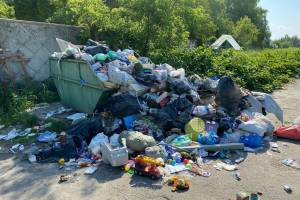 На кладбище брянского поселка Бежичи вернулся мусорный апокалипсис