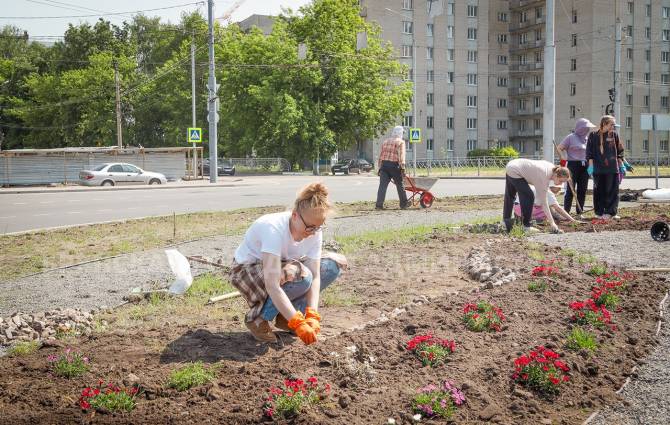В Брянске новая кольцевая развязка на старом аэропорту становится цветущей клумбой