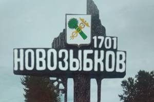 Жители Новозыбкова предложили властям сэкономить на освещении стелы
