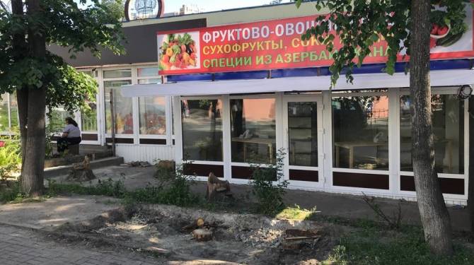 В Брянске возле гипермаркета «Линия» спилили ещё две липы