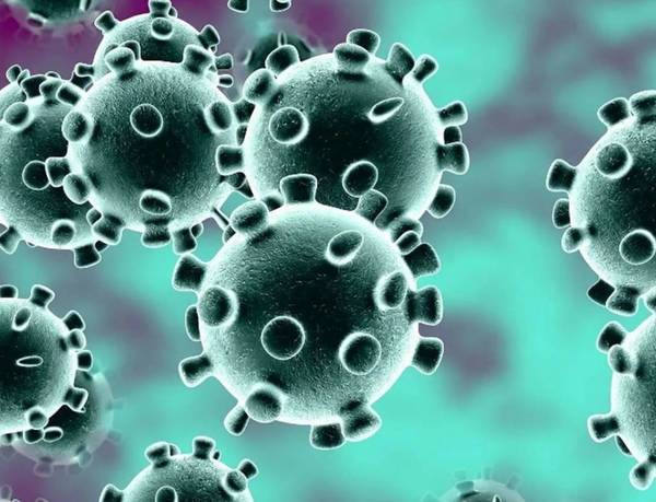 В Дубровском районе приняли меры против коронавируса