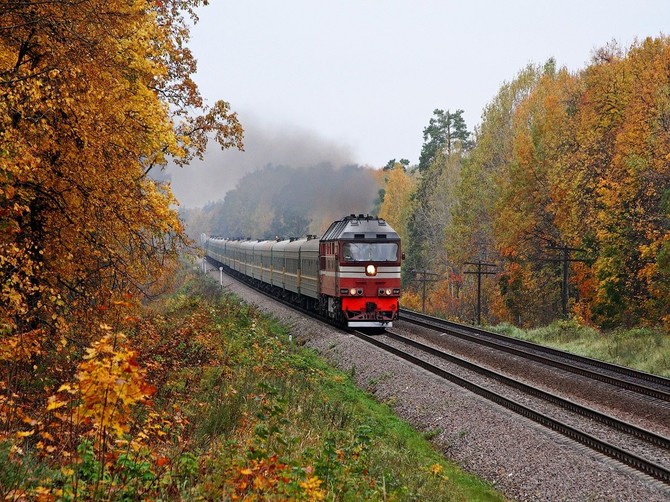 На Брянщине резко снизилось число несчастных случаев на железной дороге