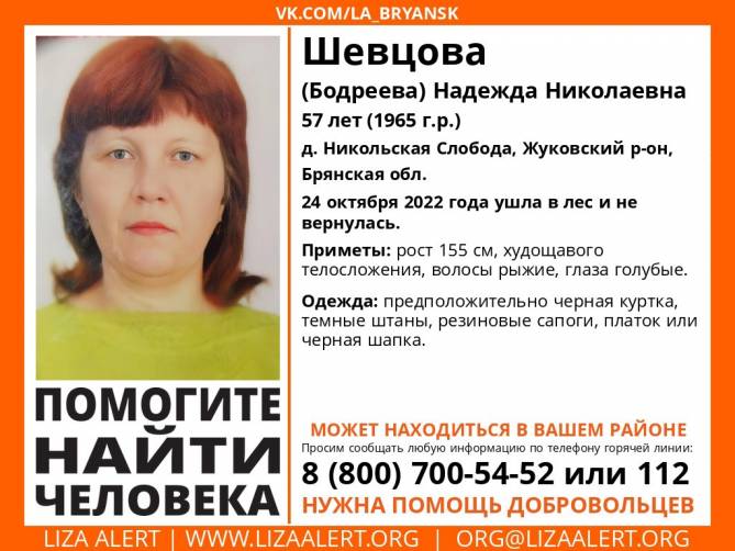 На Брянщине заблудилась в лесу 57-летняя Надежда Шевцова