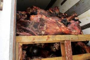 На Брянщине забраковали 100 килограммов молочки и мяса из Беларуси 