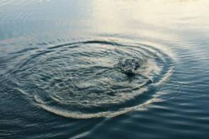 На озере Карна в Новозыбкове утонул 46-летний мужчина