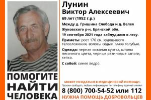 В Жуковском районе ищут заблудившегося в лесу 69-летнего Виктора Лунина