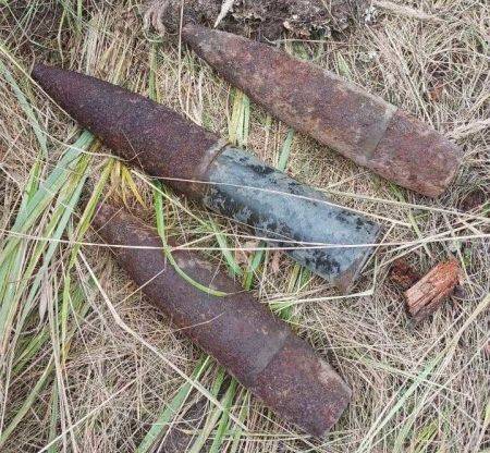 В лесу возле Сельцо нашли шесть артиллерийских снарядов 