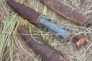 В лесу возле Сельцо нашли шесть артиллерийских снарядов 