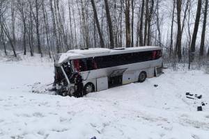 В Жуковке завели уголовное дело из-за гибели троих человек в ДТП с рейсовым автобусом и 2 фурами
