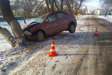 В брянском посёлке Локоть легковушка протаранила дерево