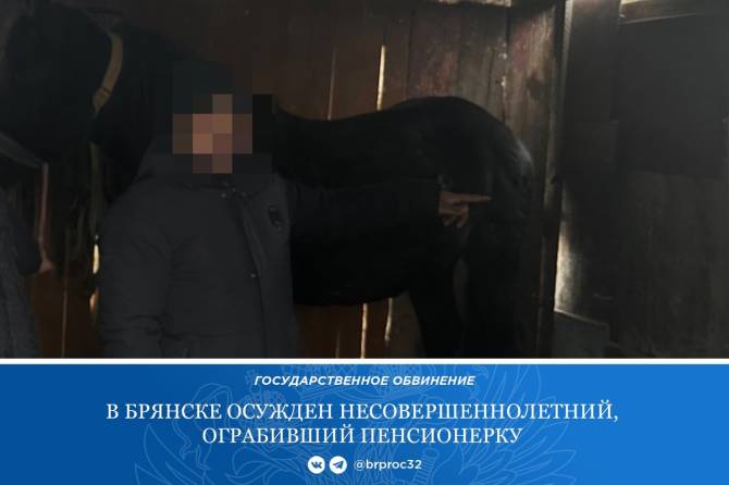 В Брянске 15-летнего подростка осудили за дерзкий грабеж на улице