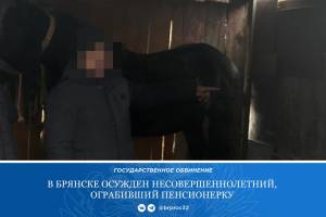 В Брянске 15-летнего подростка осудили за дерзкий грабеж на улице