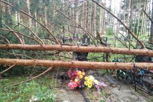 На кладбище в Ивановке рухнувшие деревья повредили памятники и ограды