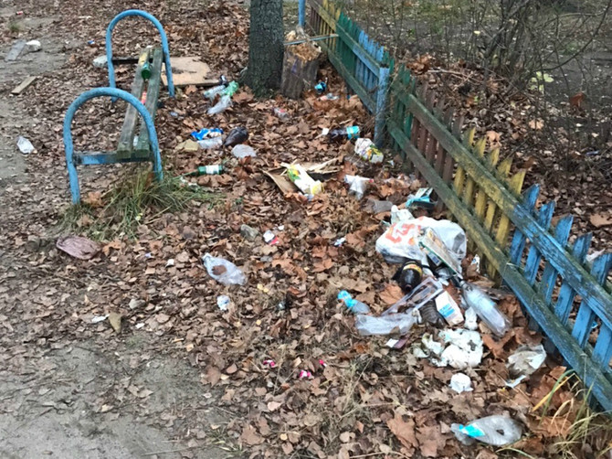 Мэра Брянска обязали очистить бежицкие дворы от свалок