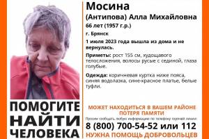 В Брянске пропала 66-летняя Алла Мосина 